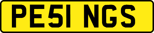 PE51NGS