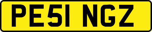 PE51NGZ