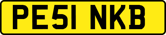PE51NKB