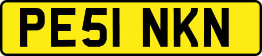 PE51NKN
