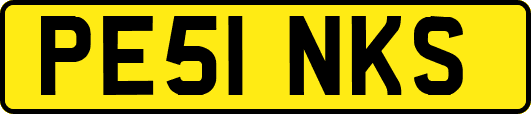 PE51NKS