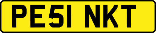 PE51NKT