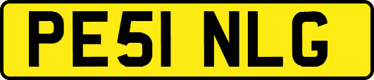 PE51NLG