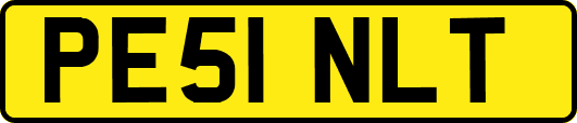 PE51NLT