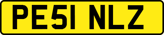 PE51NLZ