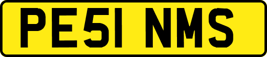 PE51NMS