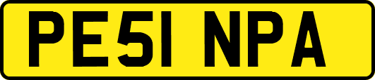 PE51NPA