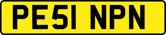 PE51NPN