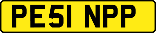 PE51NPP