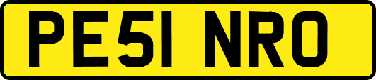 PE51NRO