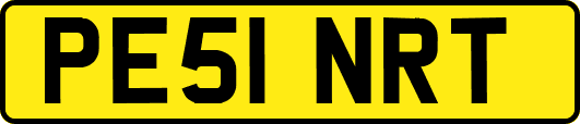 PE51NRT