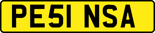 PE51NSA