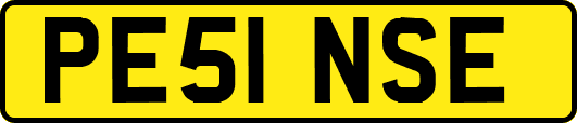 PE51NSE