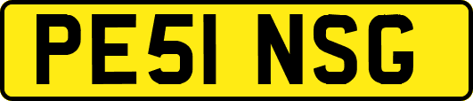 PE51NSG