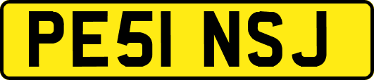 PE51NSJ