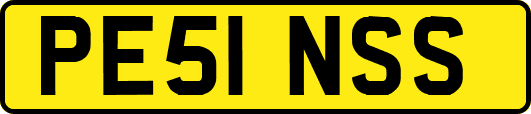 PE51NSS