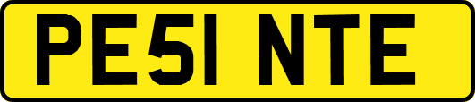 PE51NTE