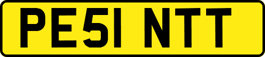 PE51NTT