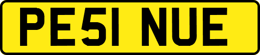 PE51NUE