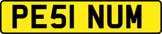 PE51NUM