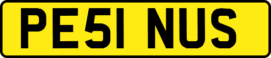 PE51NUS