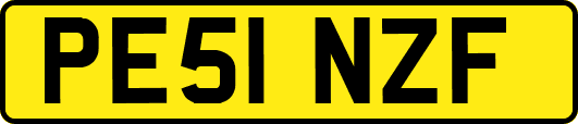 PE51NZF