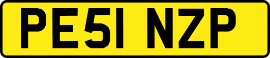 PE51NZP