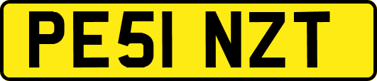 PE51NZT