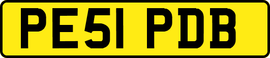 PE51PDB