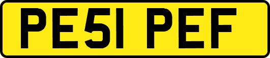 PE51PEF