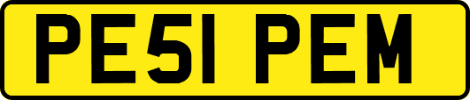 PE51PEM