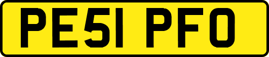 PE51PFO