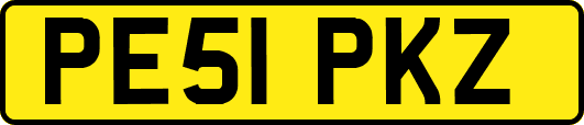 PE51PKZ