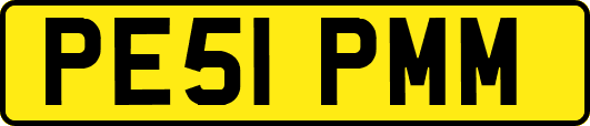 PE51PMM
