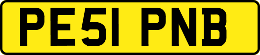 PE51PNB