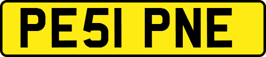 PE51PNE