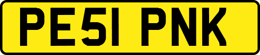 PE51PNK