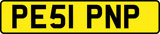 PE51PNP