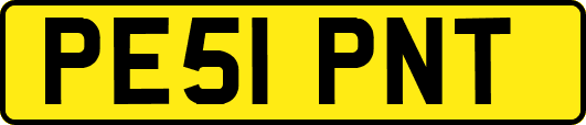 PE51PNT