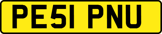 PE51PNU