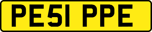 PE51PPE