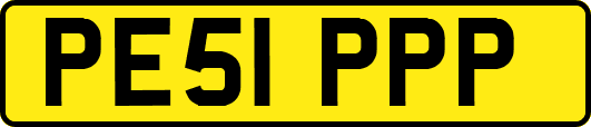 PE51PPP