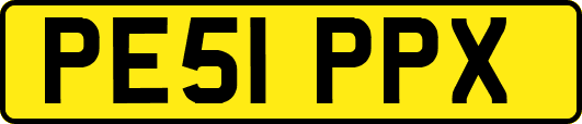 PE51PPX