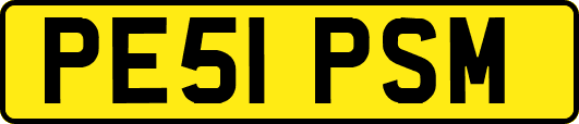 PE51PSM