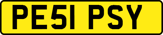PE51PSY