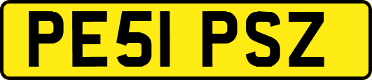 PE51PSZ