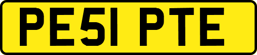 PE51PTE