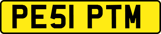 PE51PTM
