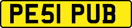 PE51PUB