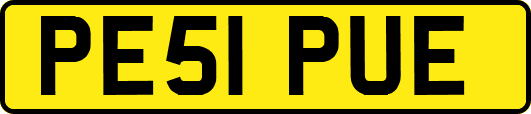 PE51PUE